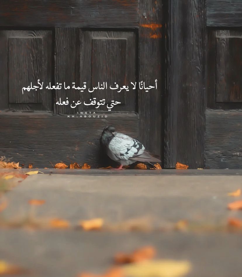 امہٰٖيہٰٖرة گونہٰٖي 🖤💛 tweet media