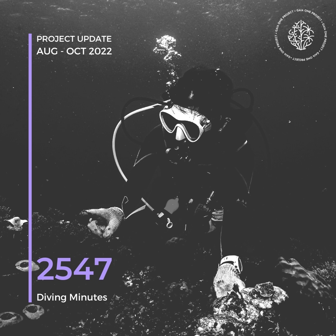 More time in the ocean means more time with the corals! #corals #conservation #GaiaOneProject