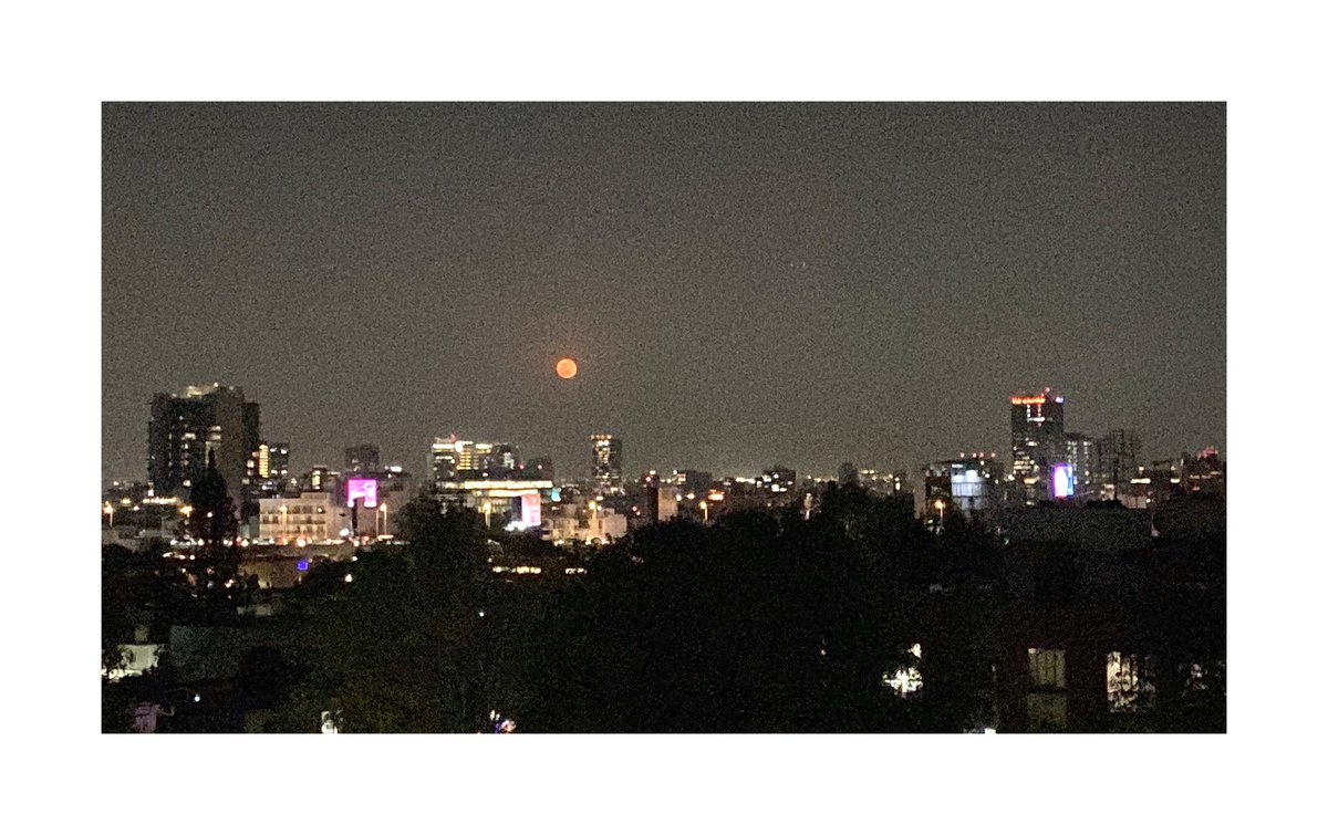 liviolenta's tweet photo. 😍🌝 https://t.co/Irf10tUNSN