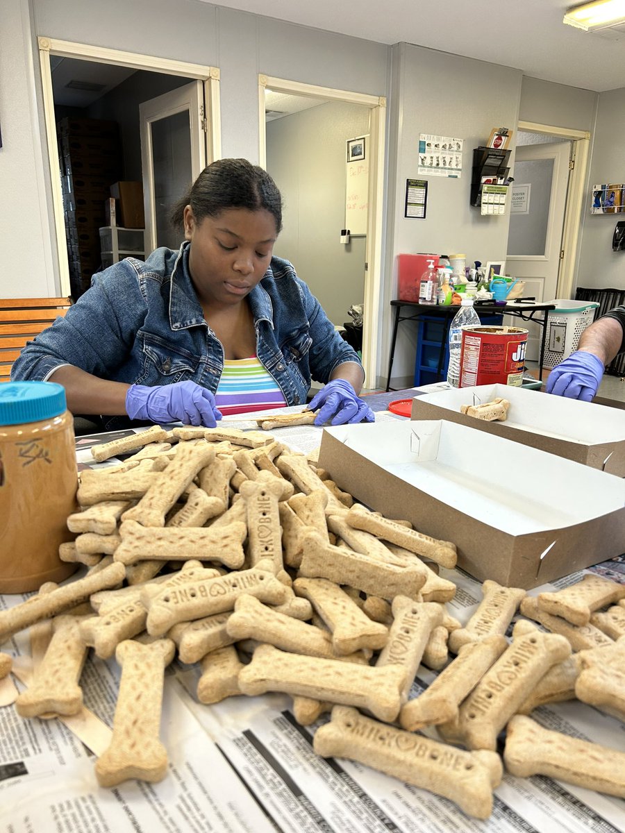 MrsPhaeB's tweet image. 🐾The talks that we have while 🦋Mosaic students work at 🐶Barc Animal Shelter are always deep, eye opening, conversations that reveal important life lessons✨#multitasking #jobskills #deepdiscussion @HumbleISD @HumbleISD_CAM