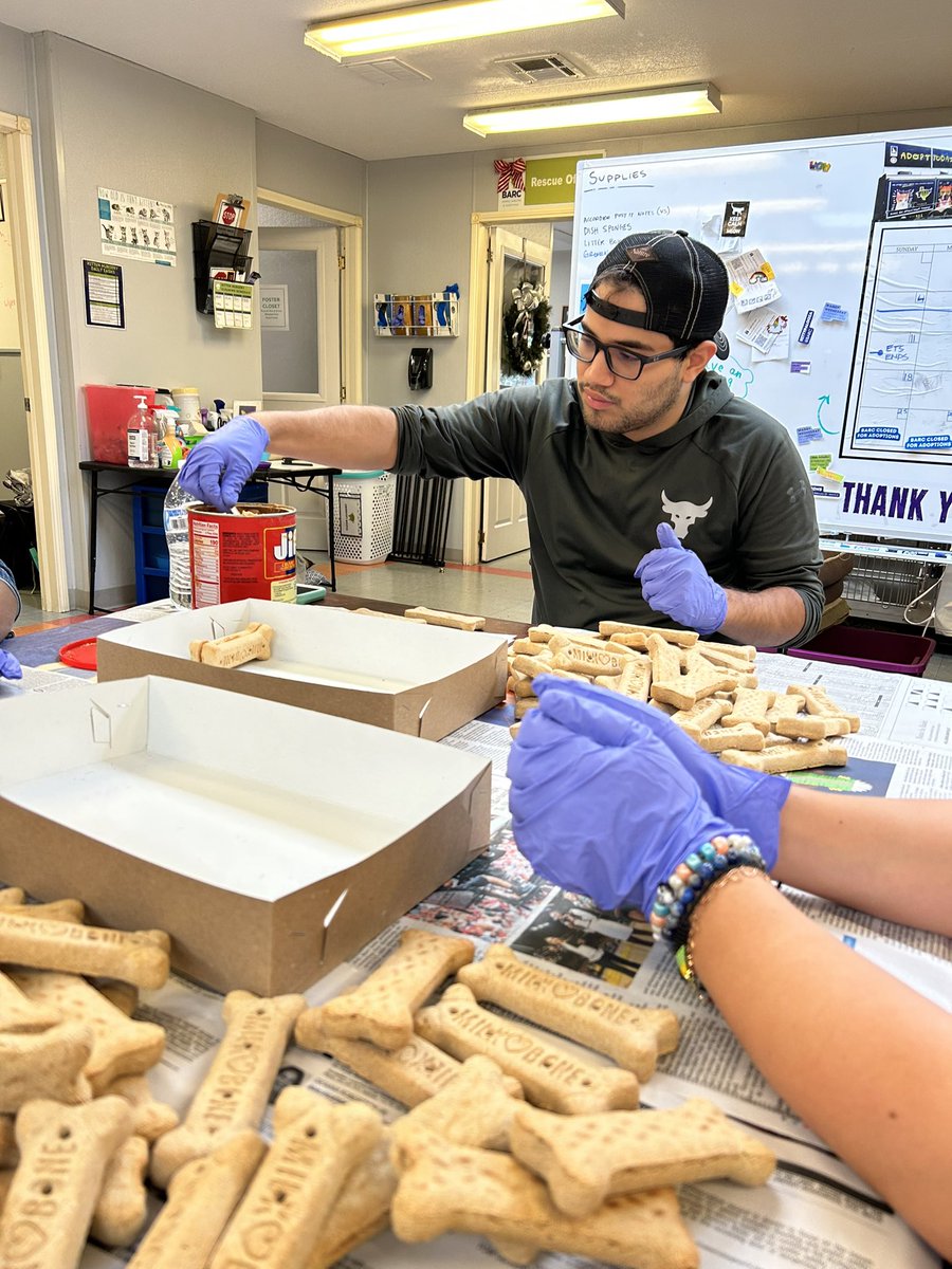 MrsPhaeB's tweet image. 🐾The talks that we have while 🦋Mosaic students work at 🐶Barc Animal Shelter are always deep, eye opening, conversations that reveal important life lessons✨#multitasking #jobskills #deepdiscussion @HumbleISD @HumbleISD_CAM