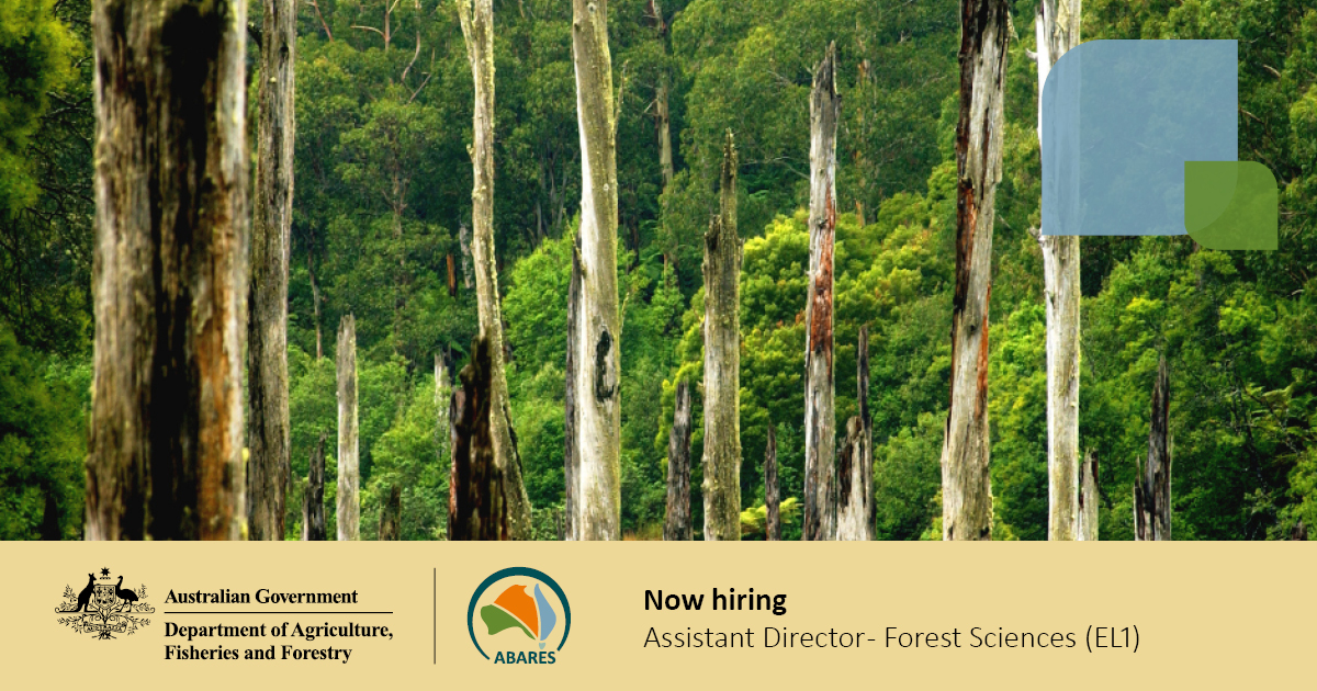 Department of Agriculture, Fisheries and Forestry tweet media