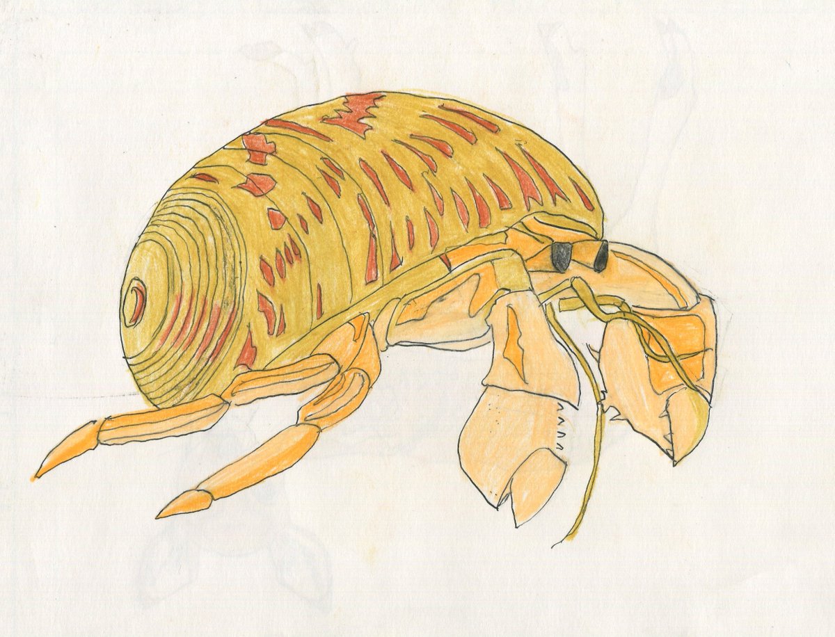 ヤドカリイラスト のイラスト マンガ コスプレ モデル作品 8 件 Twoucan