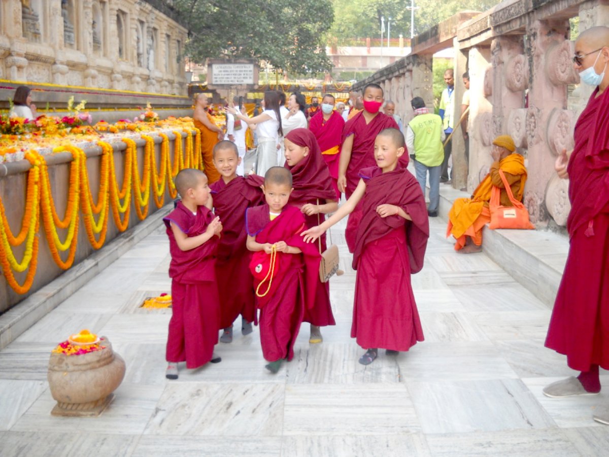 Complacidos de las actividades de la Fundación Dolma Phodrang en Bodhgaya (India). 
El Maestro Ven. <a href="/Lama_Rinchen_/">Lama Rinchen</a> Gyaltsen otorgando enseñanzas.

#TwitterLamaRinchenGyaltsen🪷 #sakyapa
⁣