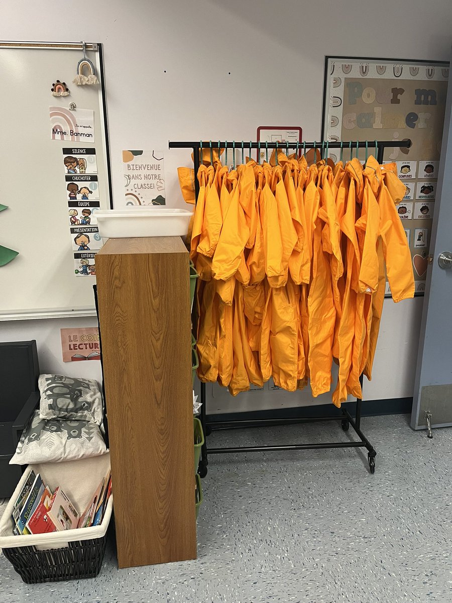 Nicole Banman tweet media