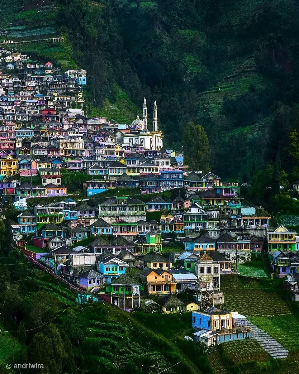 Sebuah potret keindahan Dusun Butuh, Desa Temanggung, Kecamatan Kaliangkrik, Kabupaten Magelang, Jawa Tengah, yang terletak di lereng Gunung Sumbing pada ketinggian 1600 mdpl.

Dusun ini mrpkn dusun tertinggi di Kab Magelang &amp; hanya berjarak sekitar 3.7 km dari puncak G Sumbing