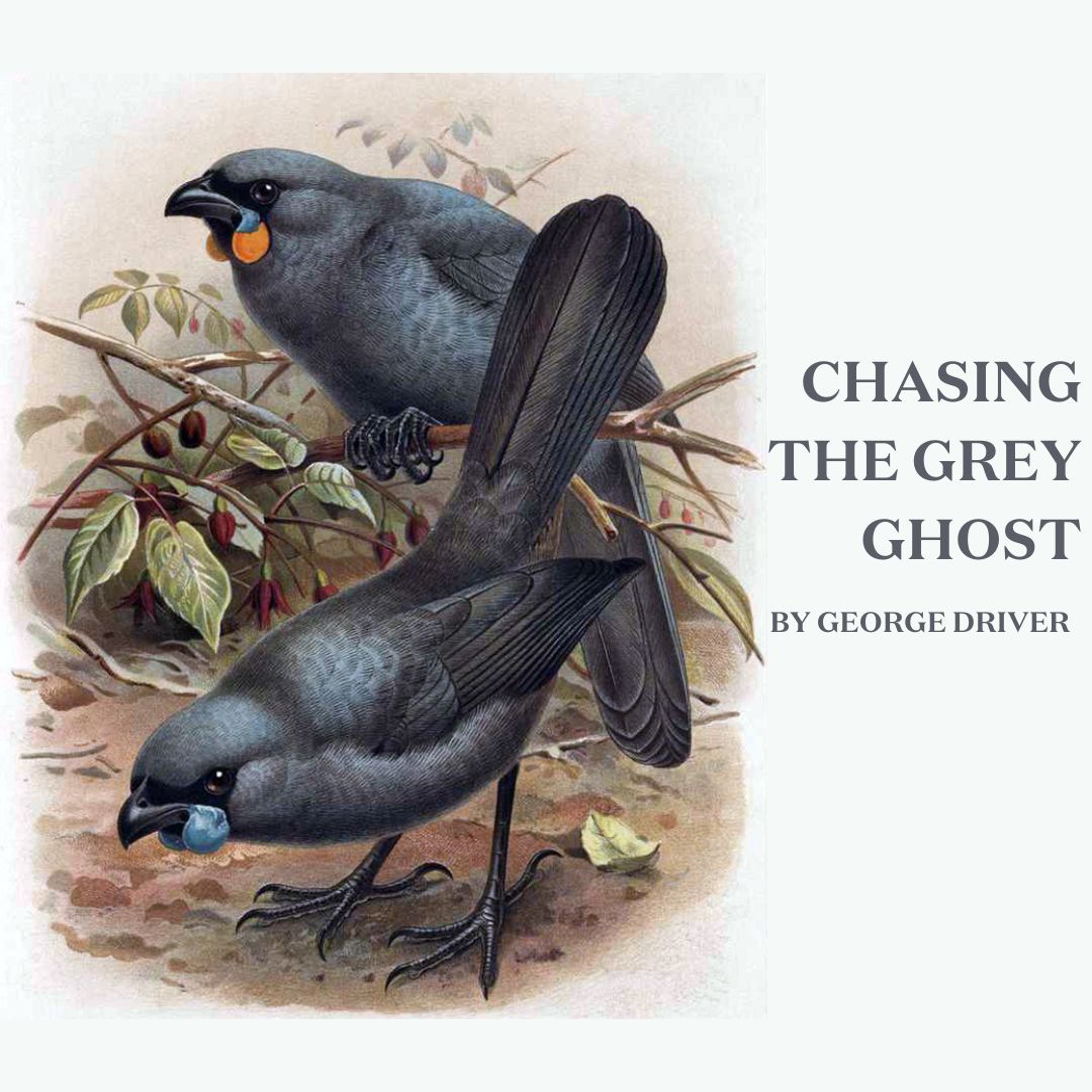 North & South Magazine tweet media