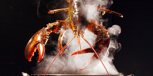 RobRobbEdwards's tweet photo. In my opinion dropping a live Crayfish into boiling water is another form of cruelty, do you feel the same? https://t.co/DAay5RVy0i