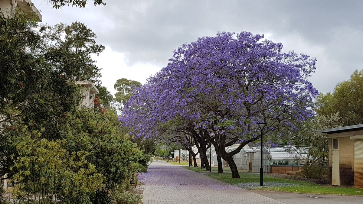 ARE at UWA tweet media