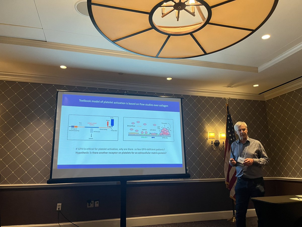 Our next talk from Pr Steve Watson on CLEC-2 antibodies and nanobodies as agonists and antagonists