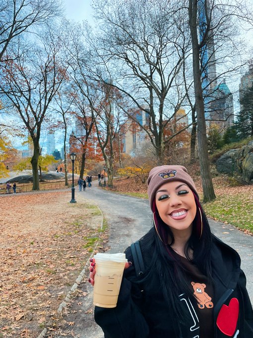 Central Park 🍂🍁🌳 https://t.co/krpv10pfHA