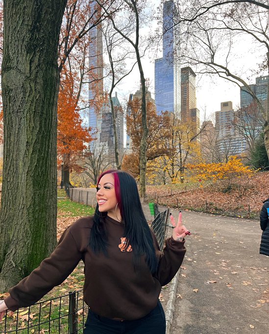 Central Park 🍂🍁🌳 https://t.co/krpv10pfHA
