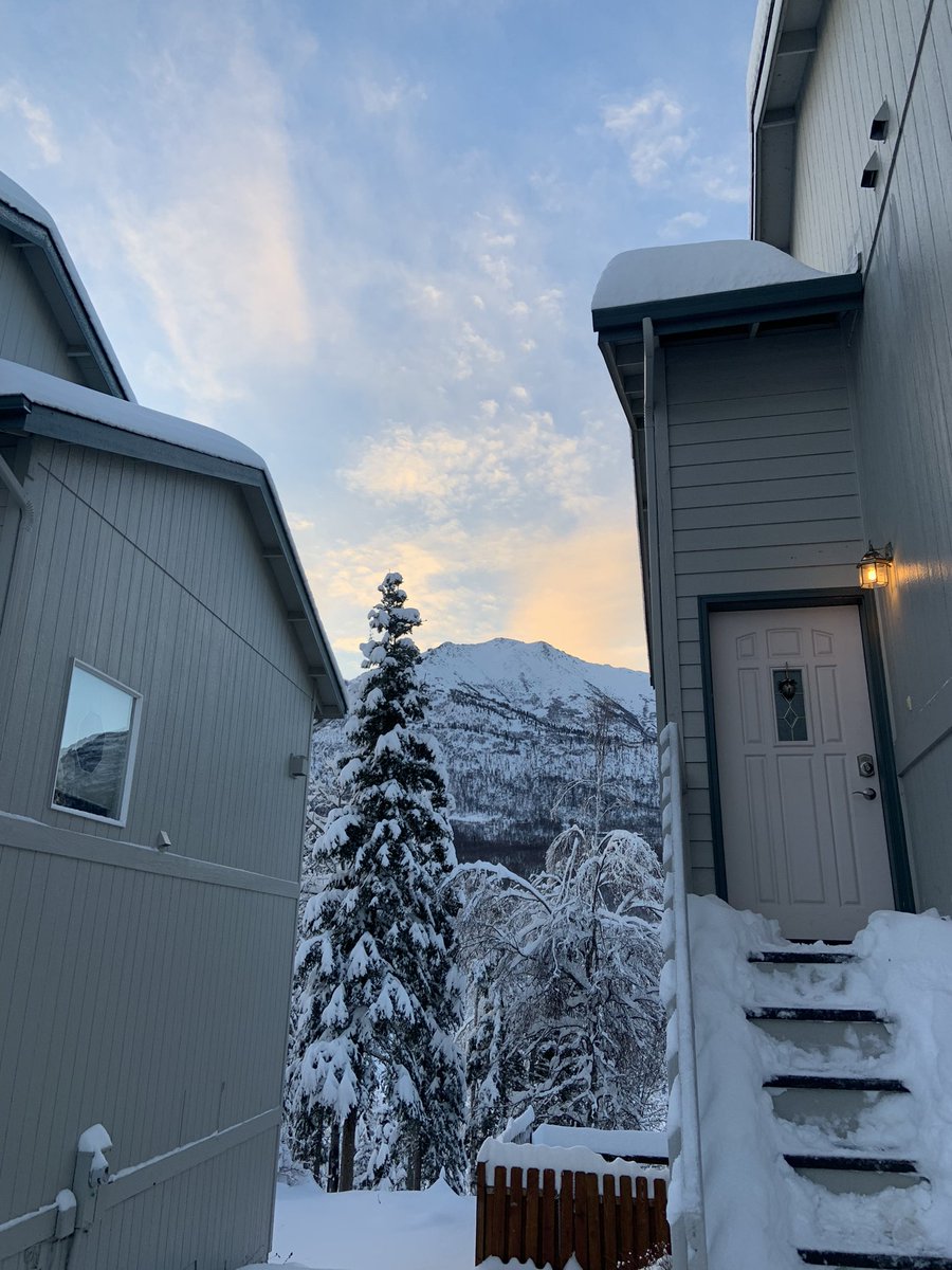 Spaggetinoodle7's tweet photo. Winter wonderland here in Alaska today https://t.co/NDFL4ZRGnv