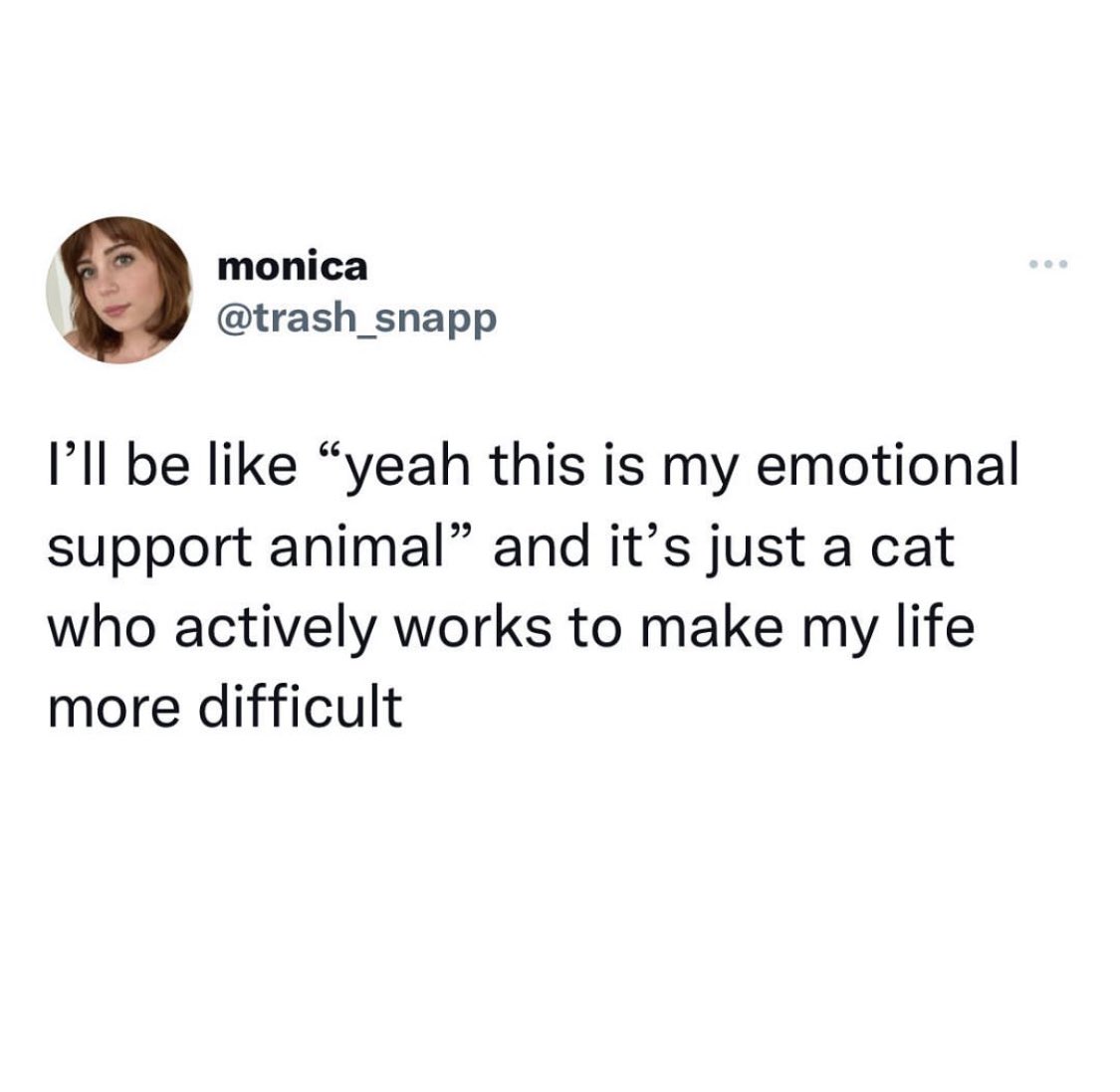 PetWinery tweet media