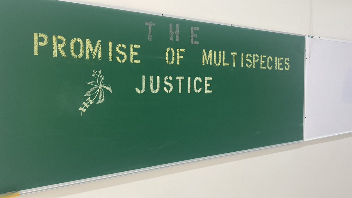 Cleo Wölfle Hazard tweet media