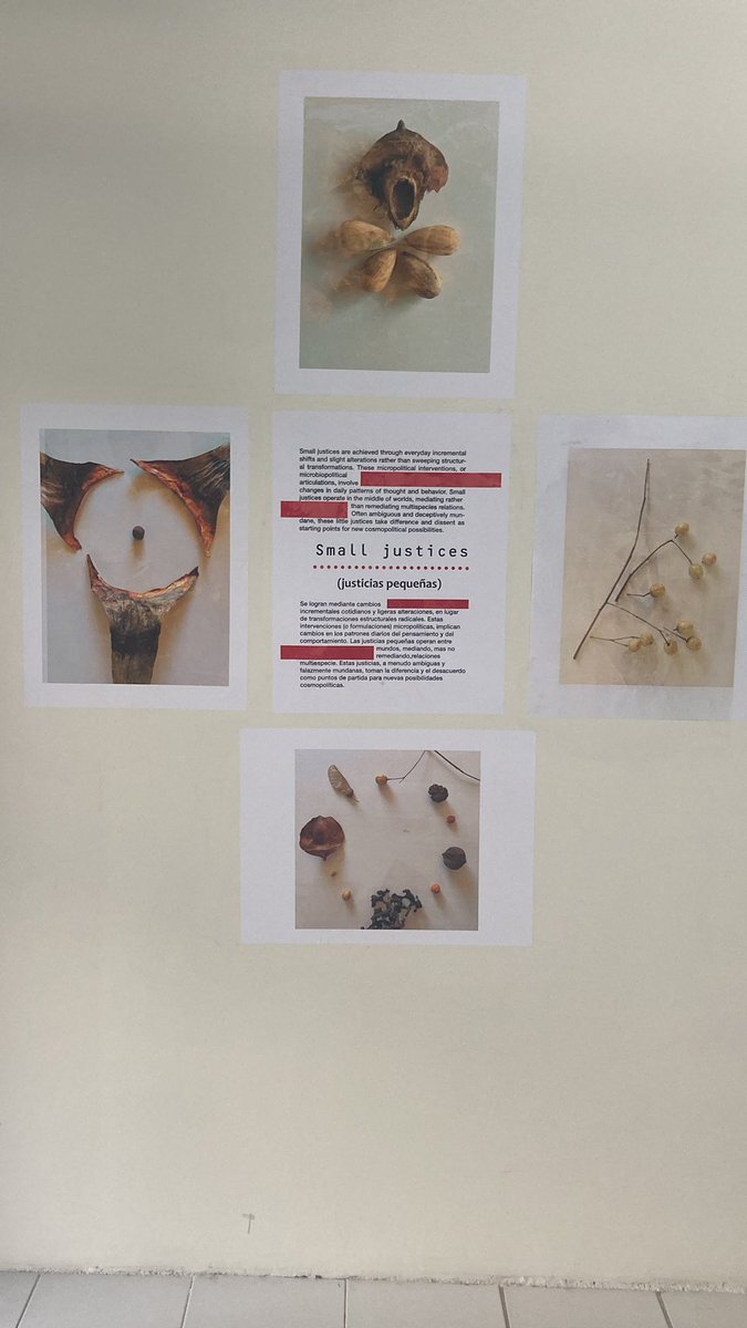 Cleo Wölfle Hazard tweet media