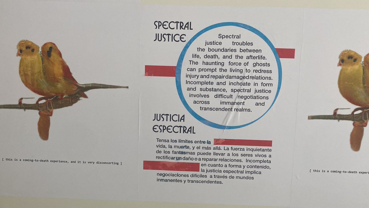 Cleo Wölfle Hazard tweet media