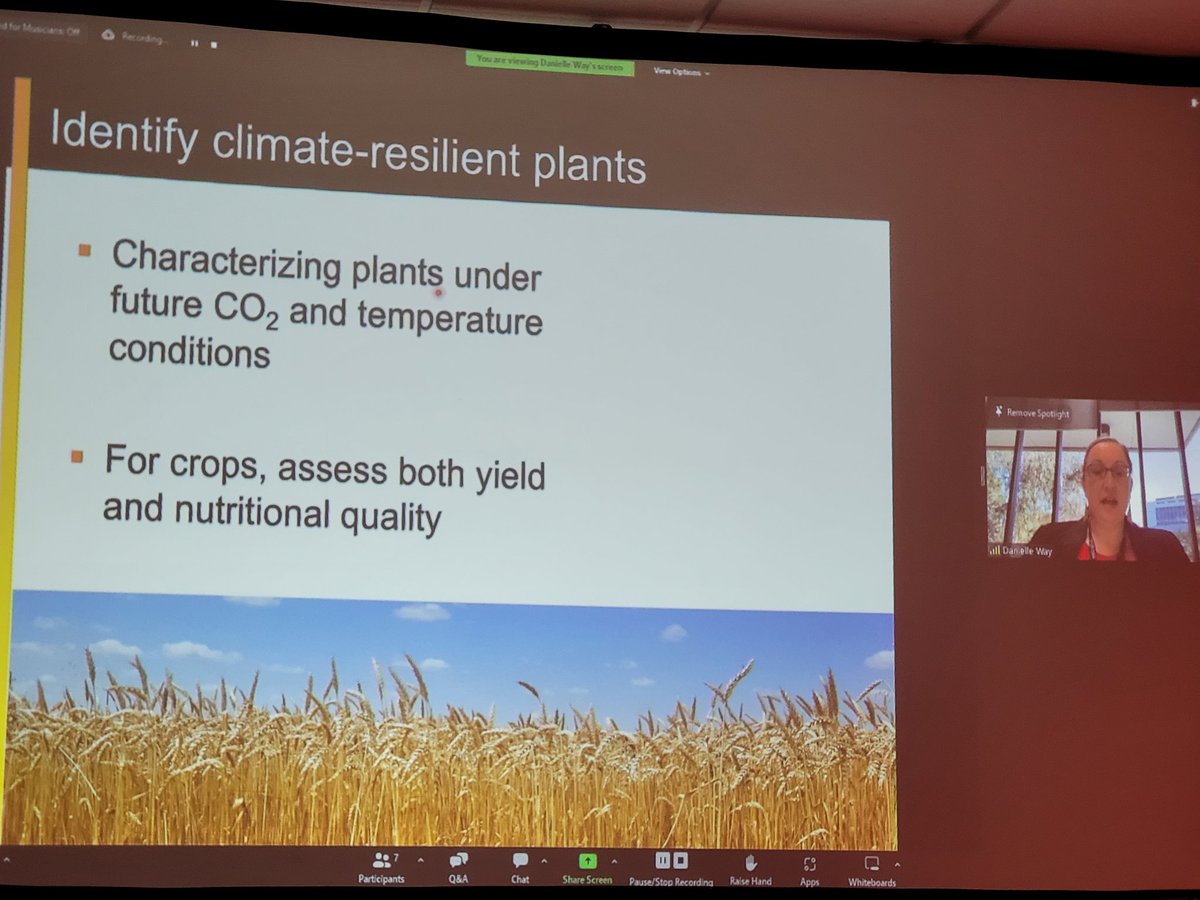 raju_aafc's tweet photo. #CanolaWeek2022 Dr. Danielle Way @westernuBio speaking on - how climate change affect Canadian wheat? @AndrewsCrops @SaskWheat @SKAgriculture @aswinik_ @habrochaites @suba_agri https://t.co/VFUuU9tUVK