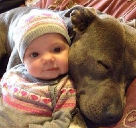 Patriot🇺🇸Troy tweet media