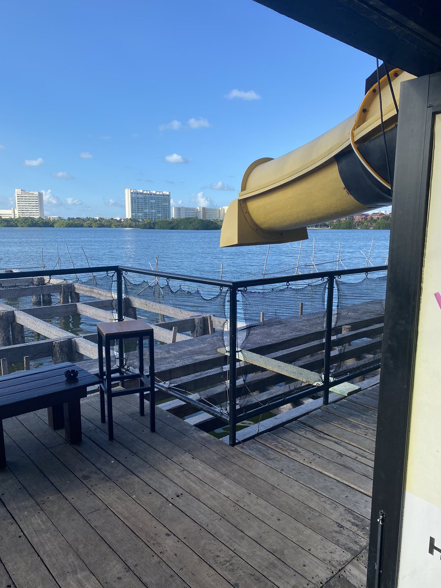 curious_cadence's tweet photo. 10 OGs and I’ll ride the suicide slide 🤣
#mayanmonkey #GodHatesNFTees #dvda @srpeters @GodHatesNFTees 🐊 🐊 https://t.co/E3UvDj7j8Q