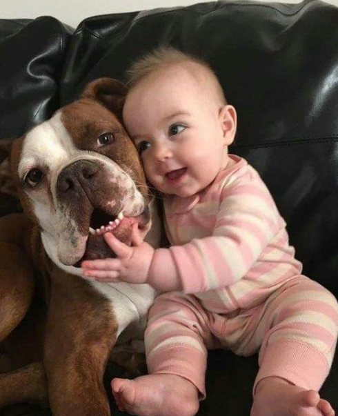 Patriot🇺🇸Troy tweet media