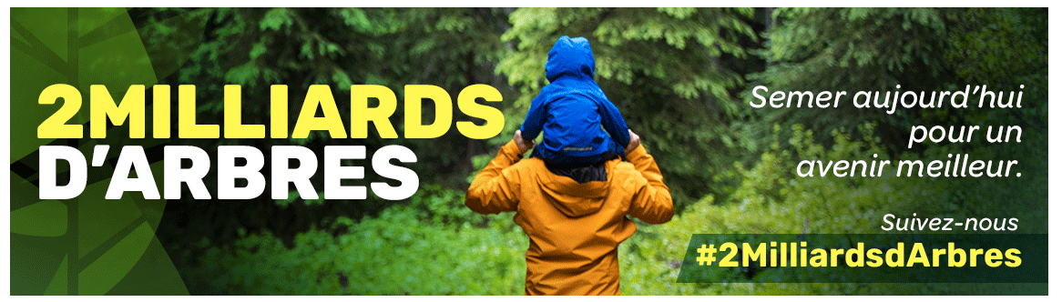 RebLigniQc's tweet image. L'appel de propositions pour le programme 2 milliards d'arbres #2GA est maintenant relancé et c'est un appel ''#continu''. Les propositions peuvent être soumises en tout temps
Pour en savoir plus sur le programme et faire une demande, cliquez sur ce lien:
canada.ca/fr/campagne/2-…