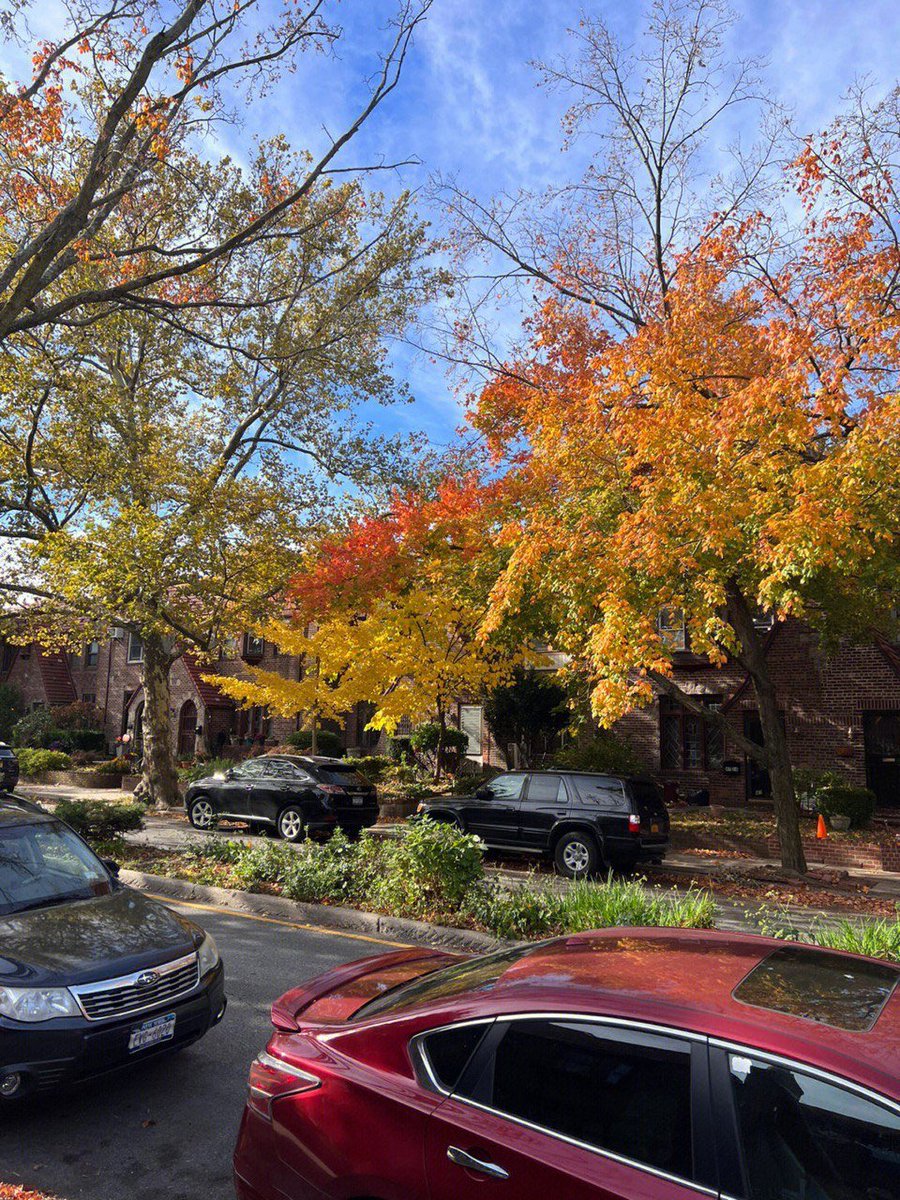 Go far to the world's amazing feast to see the prosperity of the world💞💞