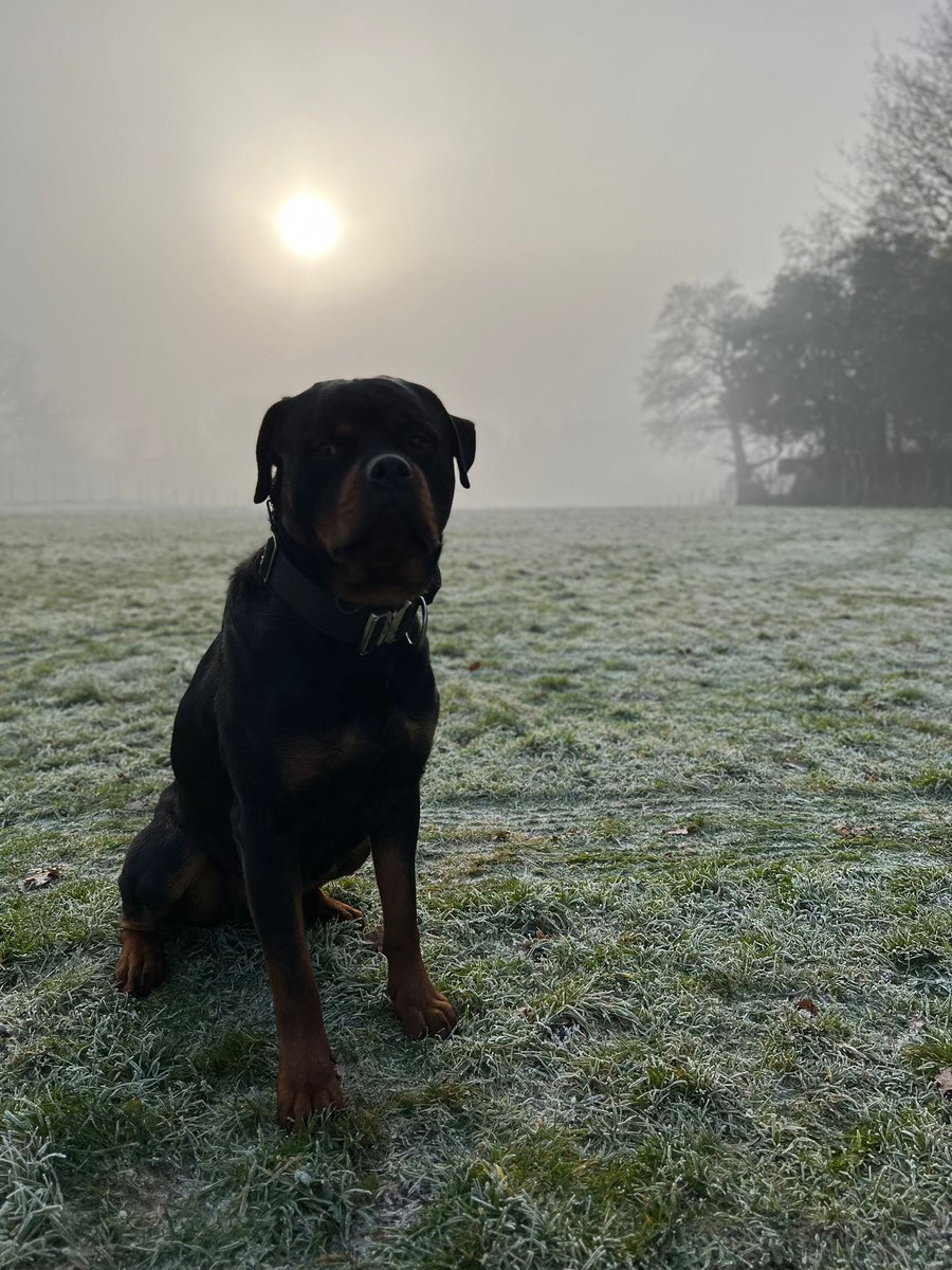 CRACKING PHOTO BY OUR TRAINEE JOSH.