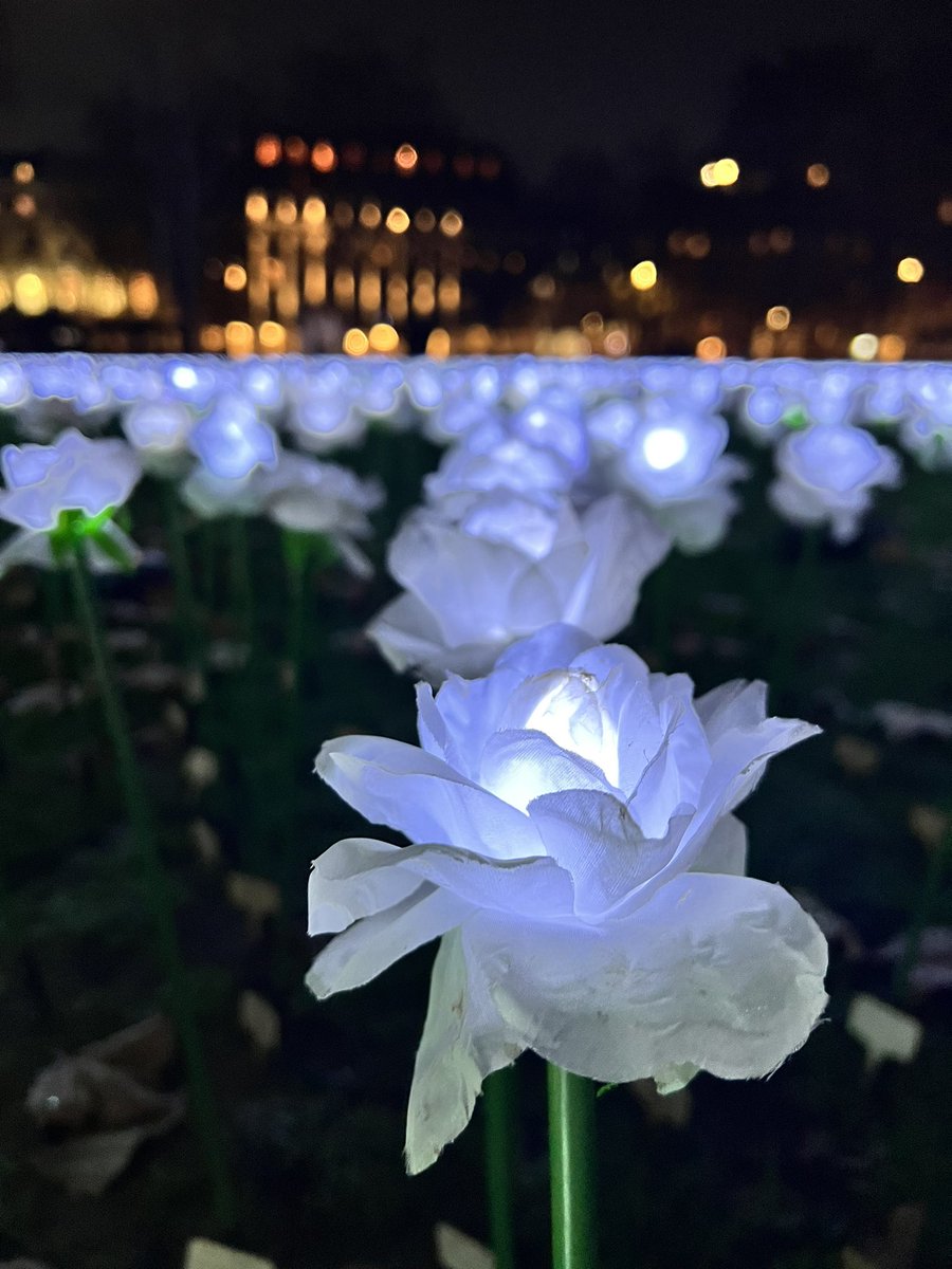 Anshul Raja tweet media