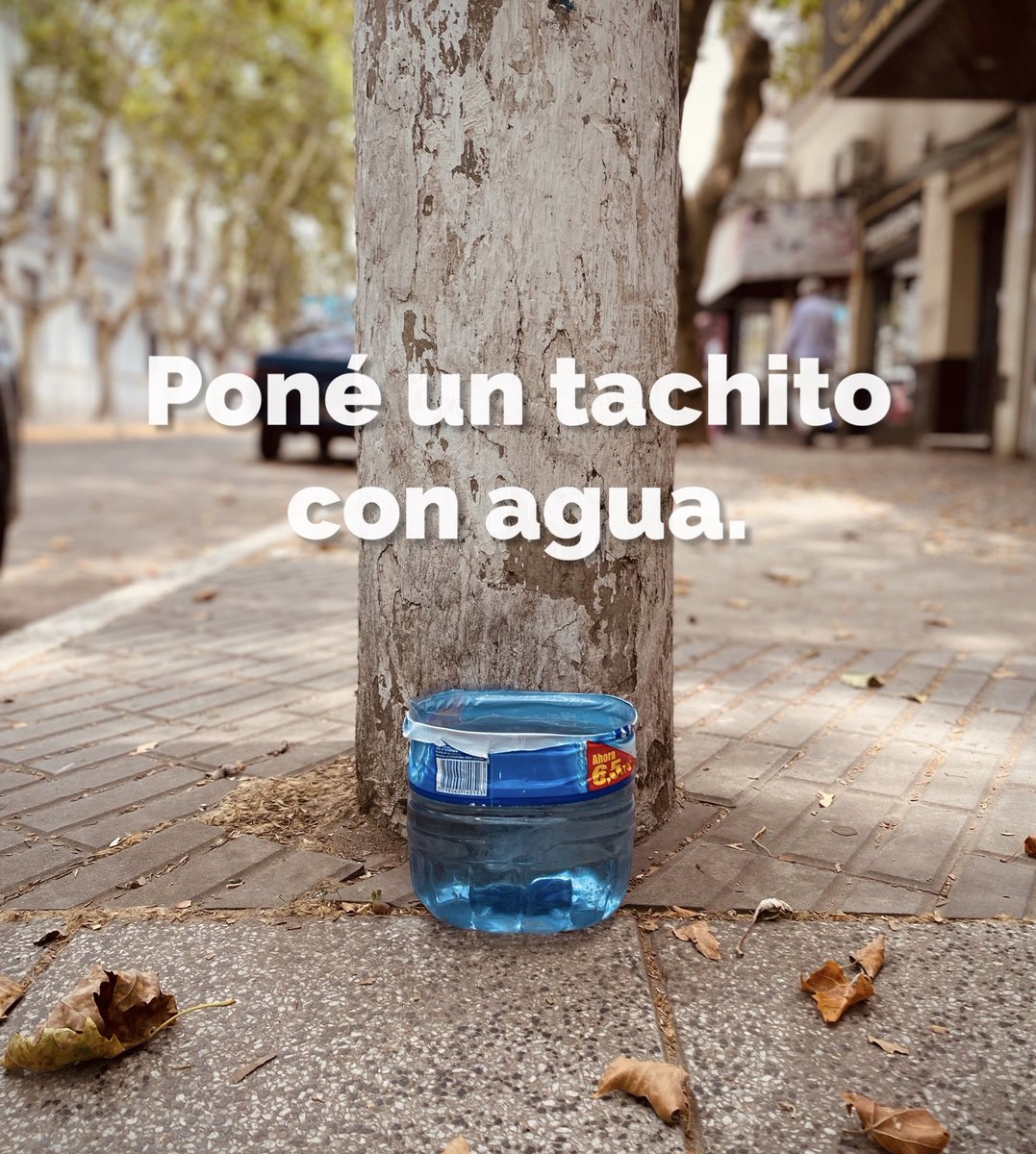 Proyecto4Patas's tweet photo. Los perros que están en la calle hacen un largo recorrido para encontrar un poco de agua 💦 para beber🥵
 
Ayúdalos poniendo un tachito de agua fresca en tu vereda 🙌 y cambiala diariamente. 

Compartí este mensaje🤳 https://t.co/1yJsdjTwCu