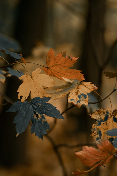 Aportación al debate con las y los compañeros "anticolapsistas", gracias a <a href="/FVientosur/">Viento Sur @fvientosur.bsky.social</a> :

¿BUSCAR LAS LLAVES BAJO LA LUZ DE LA FAROLA, AUNQUE LAS HAYAMOS PERDIDO EN OTRO LUGAR? ALGUNAS REFLEXIONES SOBRE “COLAPSISMO”

vientosur.info/una-ofensiva-a…