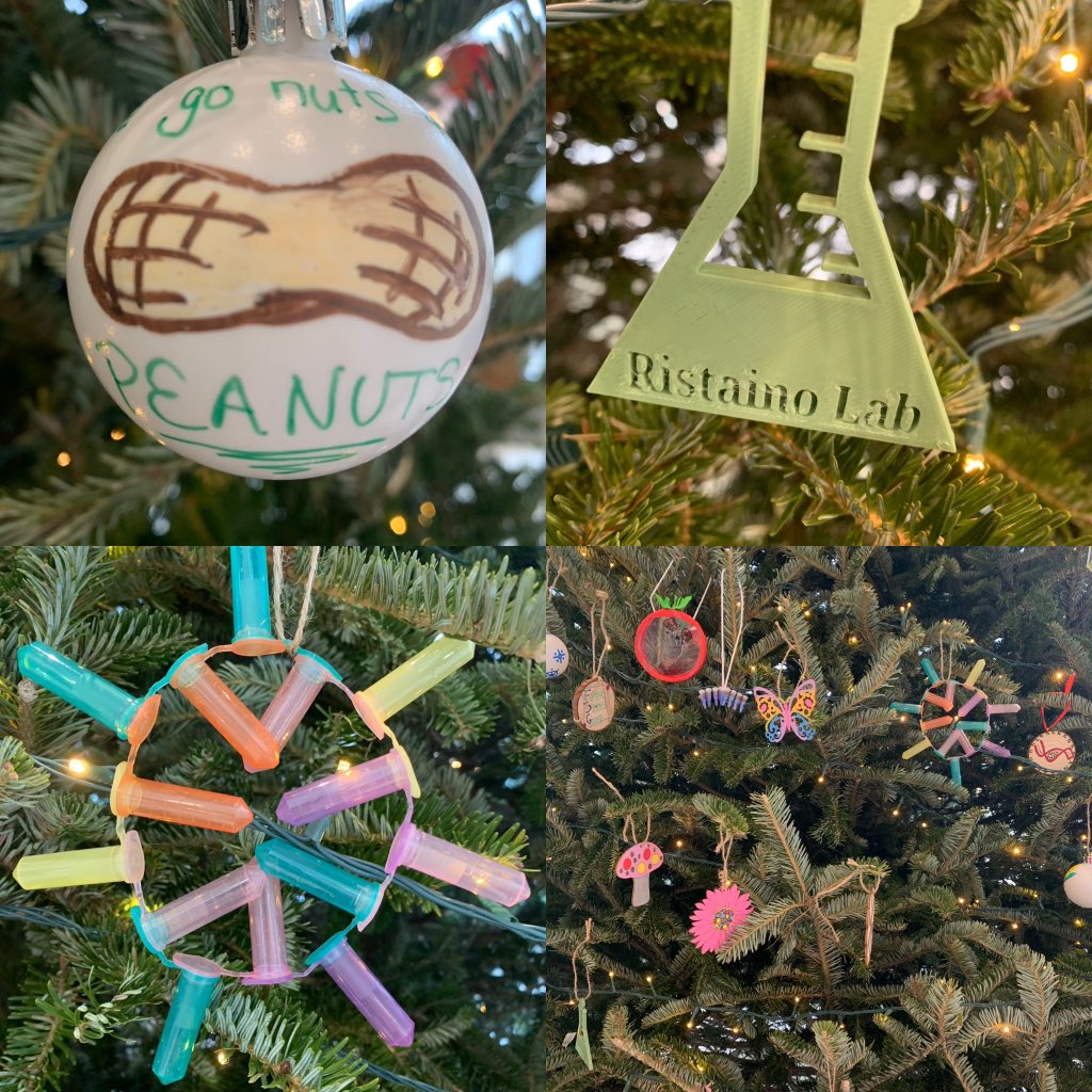 Just had our <a href="/NC_PSI/">N.C. Plant Sciences Initiative</a> #HolidayTree decoration party. We are proud to have one of the nerdiest trees ever!