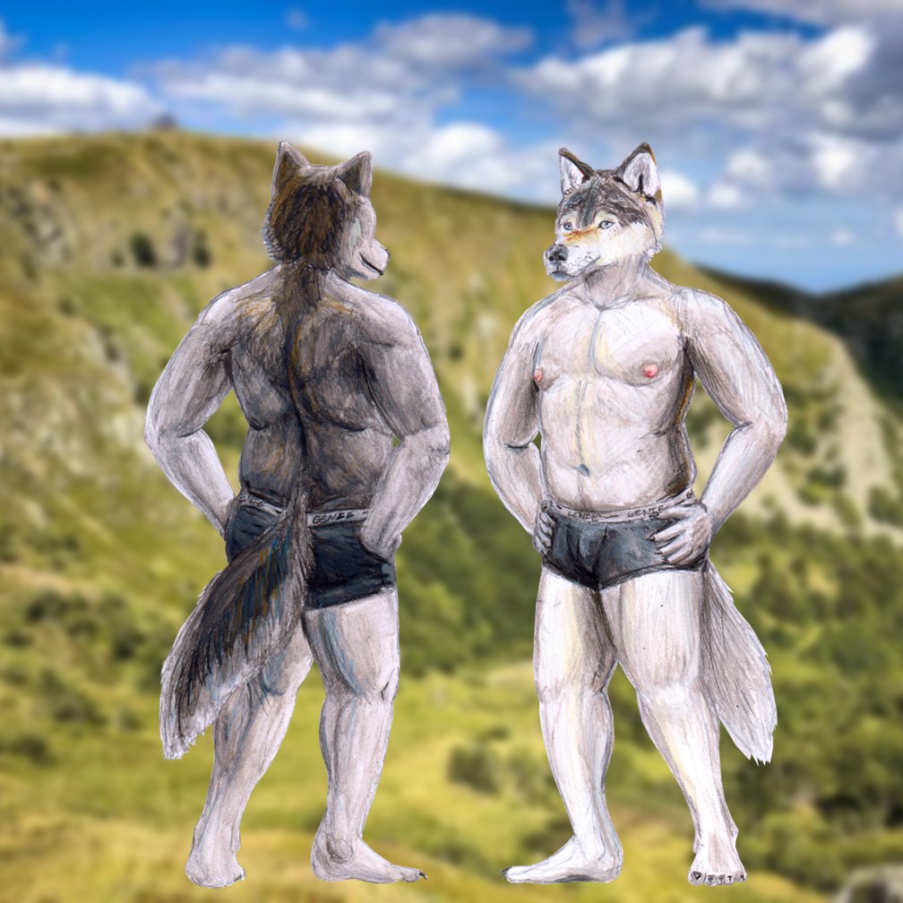 C_A_L_E_N_T_I_N's tweet photo. 35.1ème dessin : Fiche de référence
#furry #refsheet #refsheetfurry #furryoc #furrypainting #paint #painting #wolf #mountain #vosges #wolffurry #furrywolf #furryart #furryartwork #furryartist #furryfriend #furrywolf #wolf #werewolf #nature #frenchfurry https://t.co/mILgKcB3rP