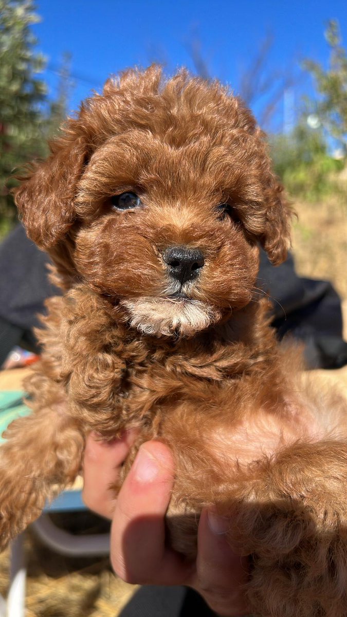 Seni çok özledim😪