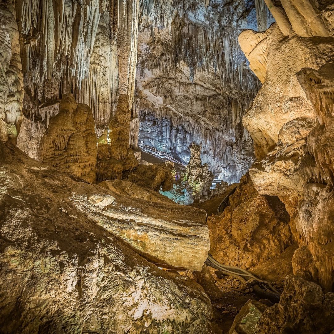 ViajaPlanet's tweet image. 📍Cuevas de Nerja, Málaga🇪🇸

Las cuevas fueron descubiertas por casualidad en 1959 y tienen una de las columnas más anchas y altas del mundo.

Una visita normal dura unos 45 min y hay audioguías disponibles para conocer más sobre la historia de las cuevas y su descubrimiento.