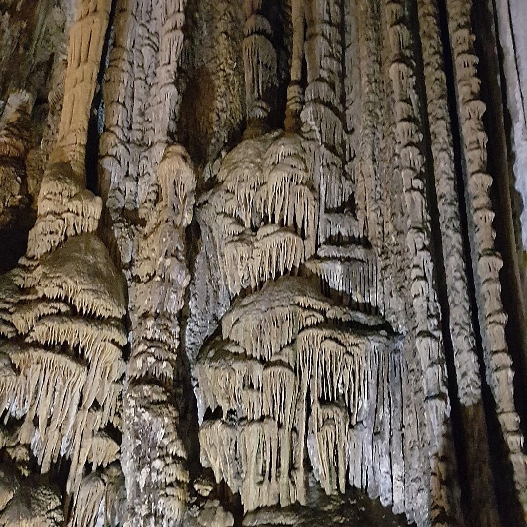 ViajaPlanet's tweet image. 📍Cuevas de Nerja, Málaga🇪🇸

Las cuevas fueron descubiertas por casualidad en 1959 y tienen una de las columnas más anchas y altas del mundo.

Una visita normal dura unos 45 min y hay audioguías disponibles para conocer más sobre la historia de las cuevas y su descubrimiento.
