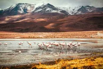 UN_Bahrain's tweet photo. The #UN's key biodiversity conference,#COP15, began on Tuesday in #Montreal, #Canada, where negotiators will set new targets and #goals aimed at arresting the alarming destruction of #nature, due by #Human_activity.
More details ⬇️
https://t.co/d0KFkTi4Ax https://t.co/7pJqIUqPFX
