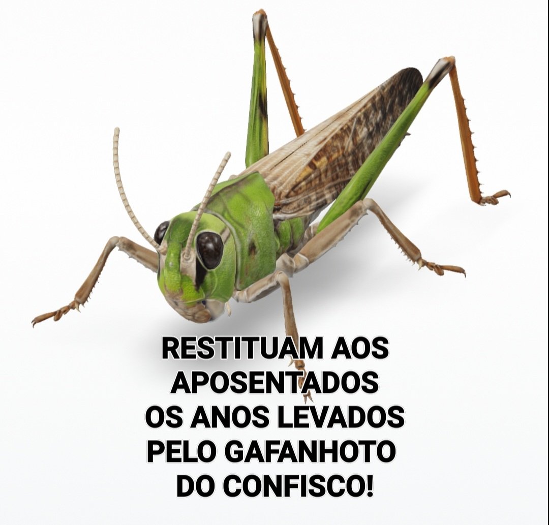 É abuso contra idosos, viúvas e órfãos arrancar-lhes à força o sustento e não querer devolver!

<a href="/rodrigogarcia_/">Rodrigo Garcia</a>  <a href="/carlaopignatari/">Carlão Pignatari</a> @PSDBSP <a href="/AssembleiaSP/">Alesp</a> <a href="/gilmacisantos10/">Gilmaci Santos</a> @Dep_Est_Freitas <a href="/JABMunhoz/">Barros Munhoz</a> <a href="/alexdmadureira/">Alex Madureira</a> <a href="/DelegadoOlim/">Delegado Olim</a>

 #RicardoNunesTaOsso