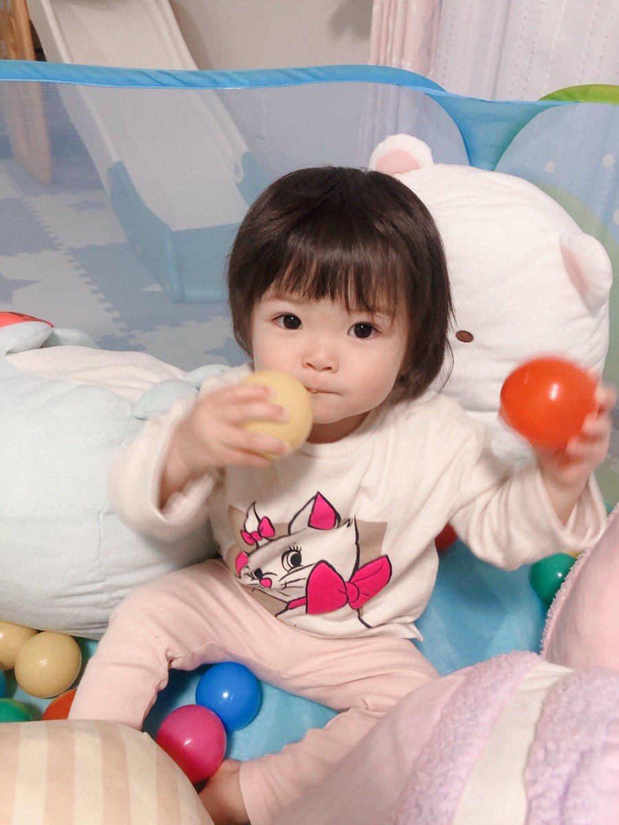 02marie19's tweet photo. 寝顔見るとなんでこんなにも可愛いのーーー！！！！
ってなるのに起きてると凶暴すぎてそんな事思えない時多いんだよね。
最近目潰しされる🙃 https://t.co/KI6kBUl0v6