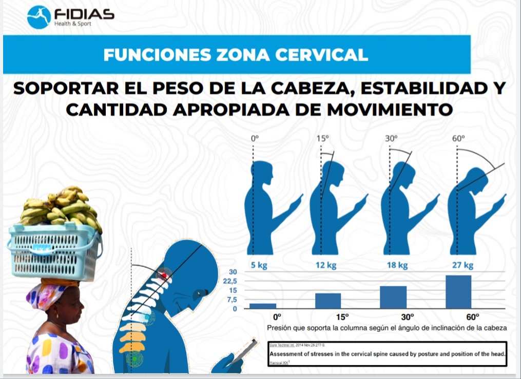 Esta postura continuada provoca sobrecarga en la musculatura extensora cervical (rigidez). Y esto puede estar generando, a su vez, una alteración en la movilidad de la propia escápula. ¡¿A ver si ese dolor de hombro que tienes podría provenir de aquí tb?!