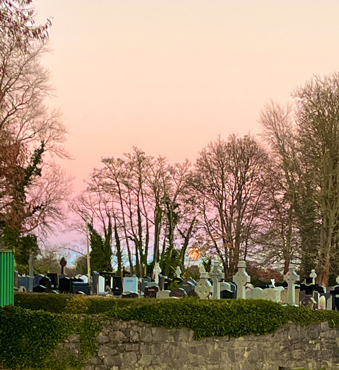 loverandomieigh's tweet photo. #day342 #100daysofwalking #200daysofwalking #300daysofwalking #365daysofwalking “I see the bad moon a-risin 🎶🎼
#moonrises just between the trees at back of the graveyard 🪦 it was so beautiful 😍
Happy out 💞 https://t.co/wf98atdH0o