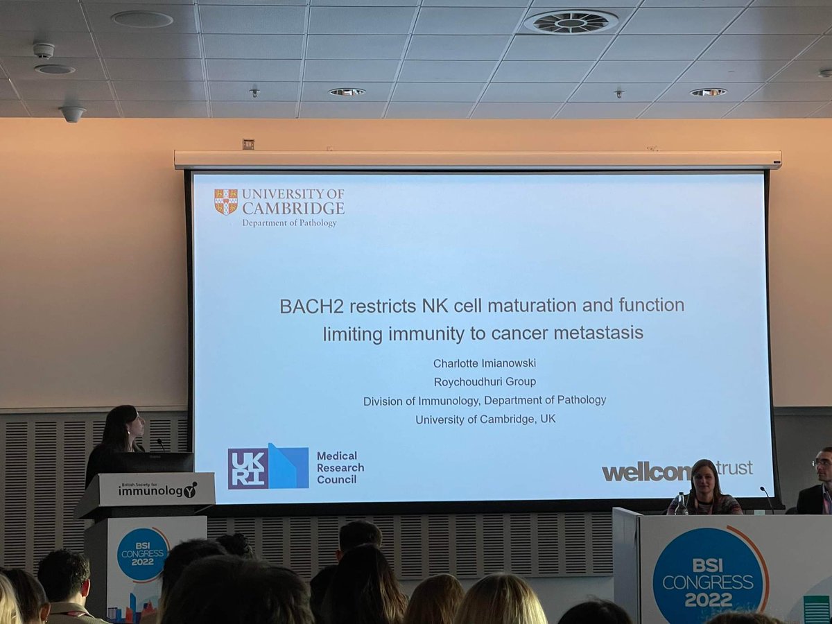 Charlotte Imianowski tweet media