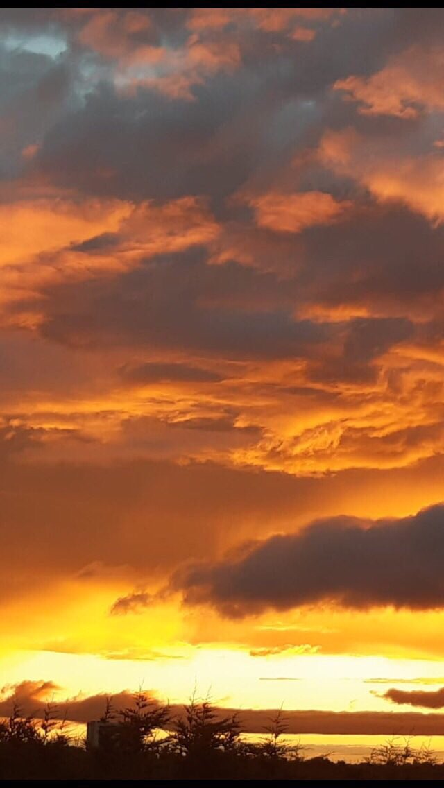 I might lose followers for saying this, but I’m gonna say it anyway. I don’t care about the colour of your skin. It matters not who you love. Rich,poor, religious or not. We’re all just trying to make the best of this life. It’s a beautiful world. Cherish it. Be patient. Be kind.