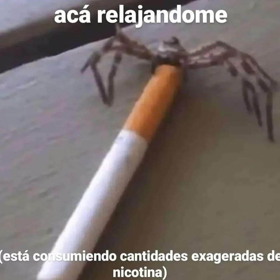 memes feos yo qué sé (@memefeos) on Twitter photo 