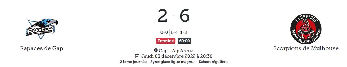 Synerglace Ligue Magnus tweet media