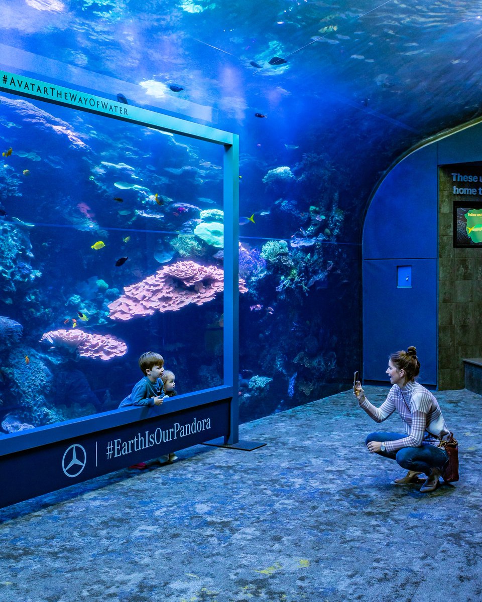 Mercedes-Benz USAㅤ tweet media