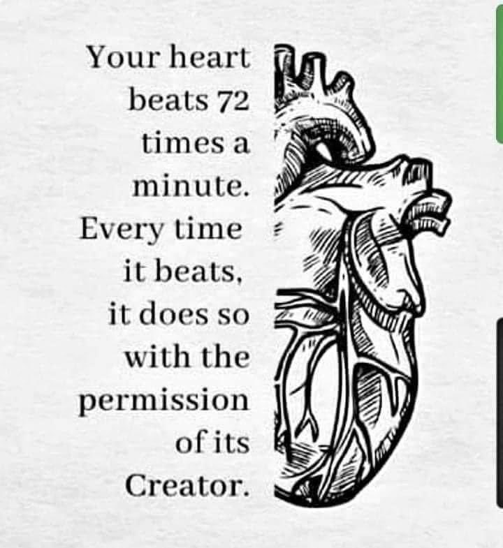 Persevero's tweet image. 