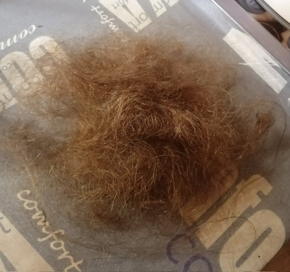 Юлия Рябова tweet media