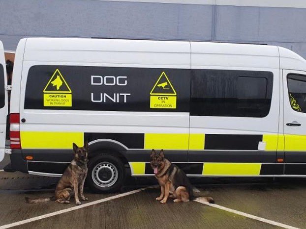 Out and about tonight deploying asset protection for @logisticspeeps #logisticssecurity 

 #workingdogs #Canineprotection #K9security #Assetprotection #mannedguarding #Gatehouse #Security #CctvControl

logisticssecurity.co.uk