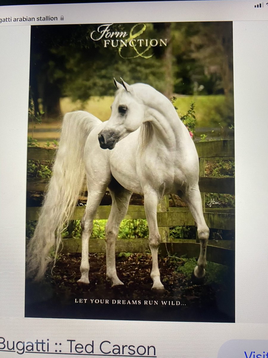 Our students  <a href="/fort_mccoy/">Fort McCoy School</a> are excited to get started with Equine Adventures in Education thanks to the Public Education Foundation of Marion County!
 #pefmc